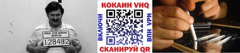 COCAIN Fish Scale  купить закладку  Артём 