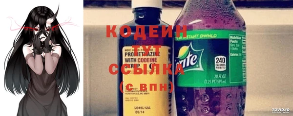 СК Каменка
