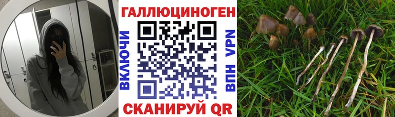 Псилоцибиновые грибы мухоморы  Артём 