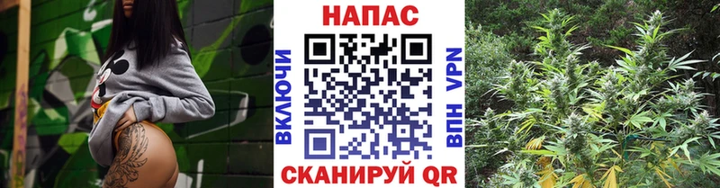 купить наркотики цена  Артём  Бошки Шишки White Widow 